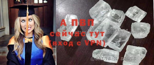 альфа пвп Медвежьегорск